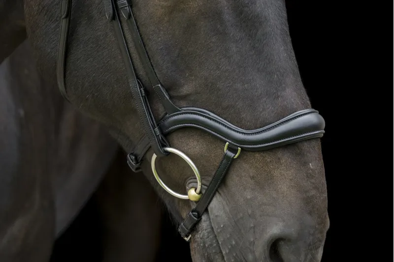 EcoRider EcoSoft Finesse Bridle Brown-2